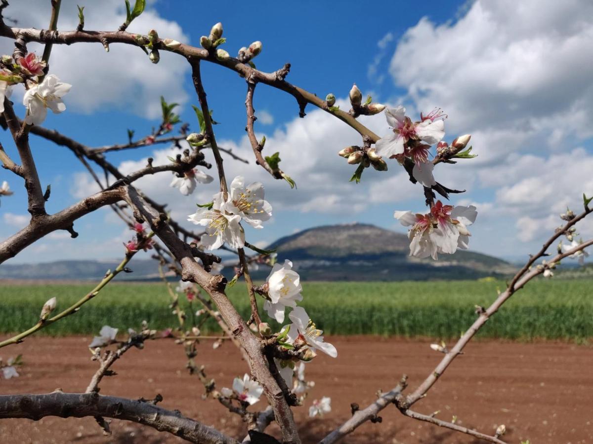 Galilee Best Location 'En Dor Εξωτερικό φωτογραφία