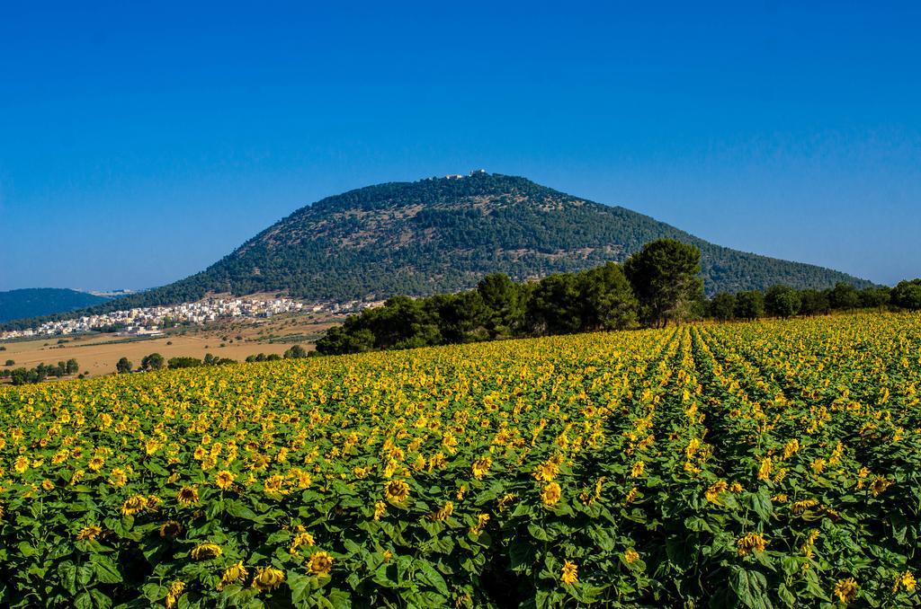Galilee Best Location 'En Dor Εξωτερικό φωτογραφία