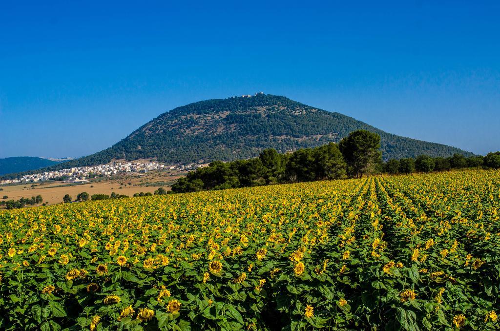 Galilee Best Location ξενώνας 'En Dor Εξωτερικό φωτογραφία